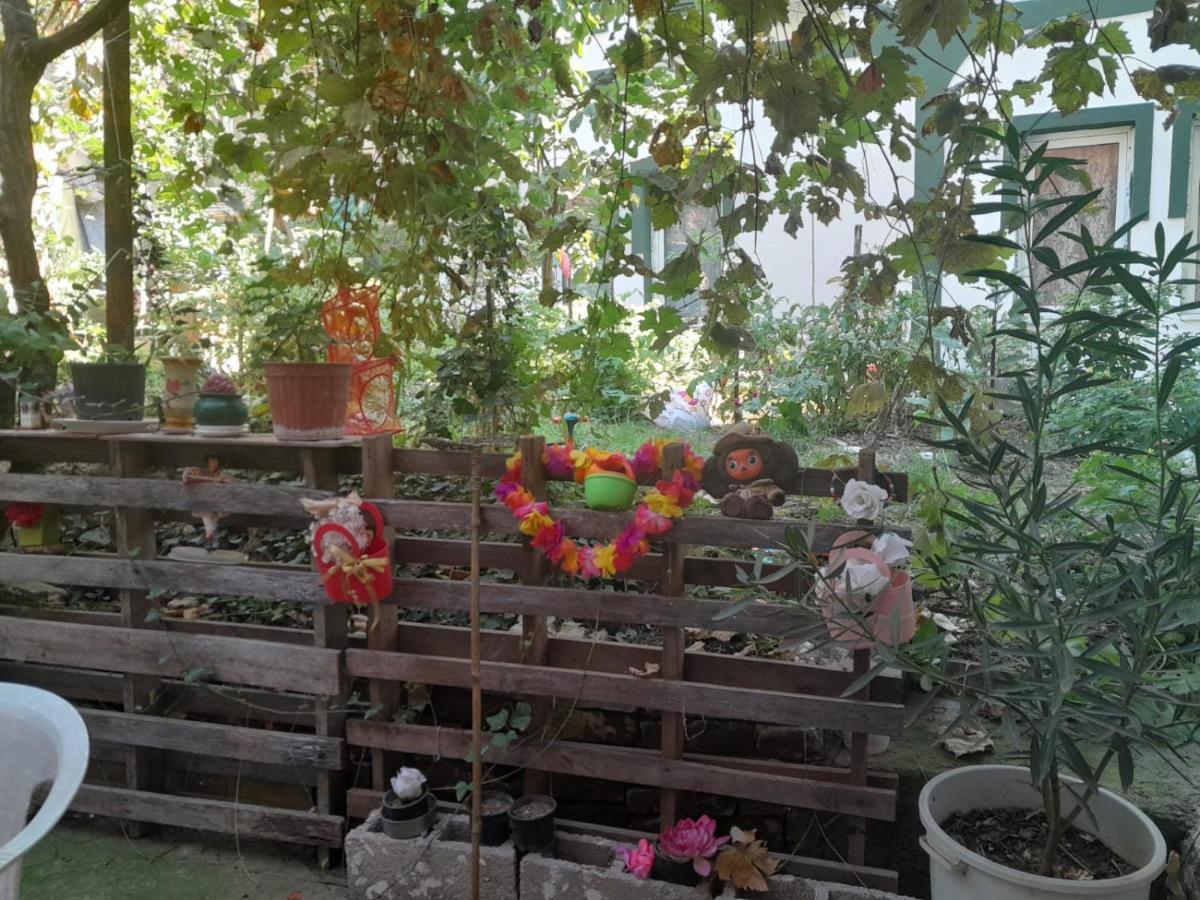 Adem'S Cozy Terrace Retreat Bed and Breakfast Skopje Eksteriør billede