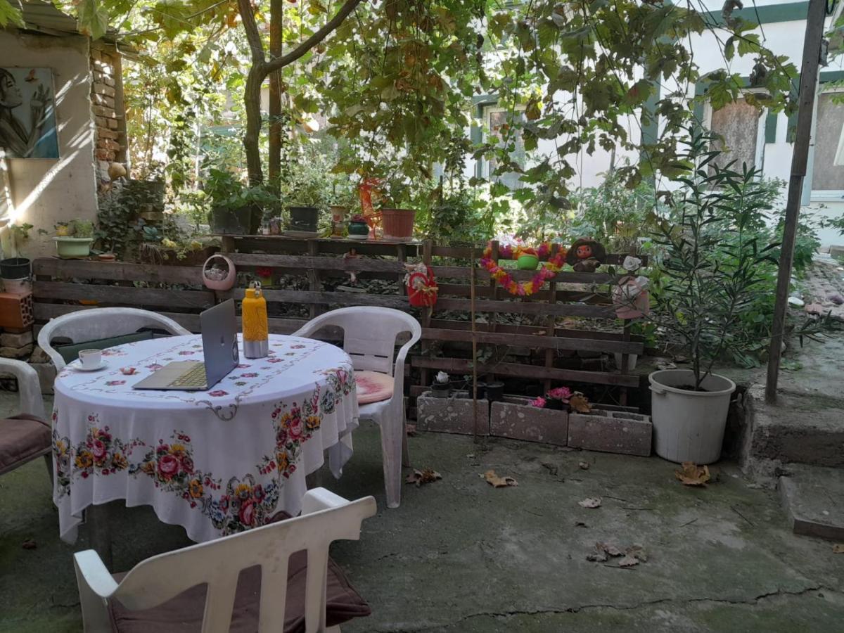 Adem'S Cozy Terrace Retreat Bed and Breakfast Skopje Eksteriør billede